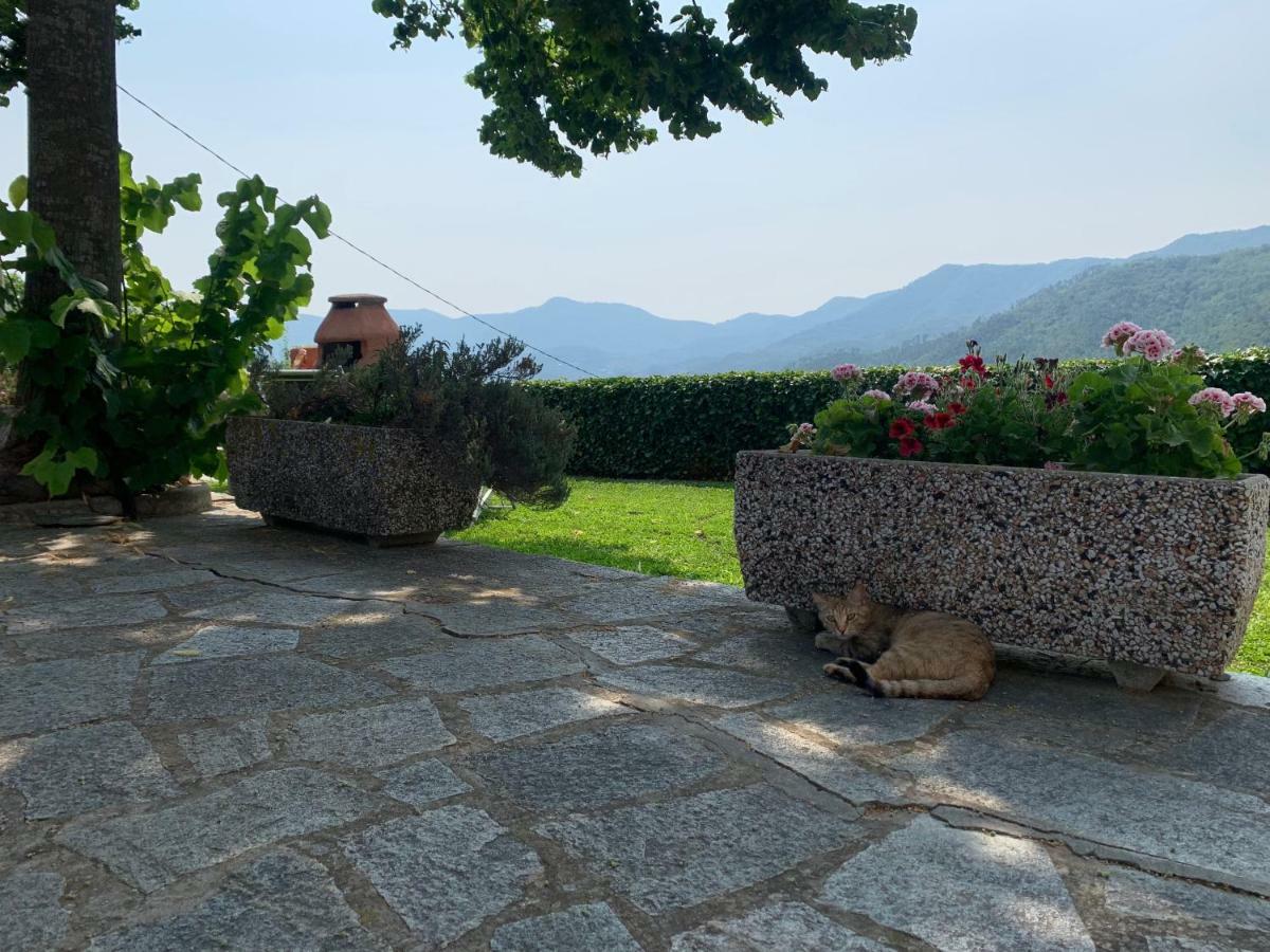 Agriturismo Gli Ulivi Garlenda Dış mekan fotoğraf